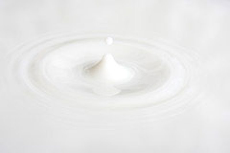 Pastrarea produselor lactate