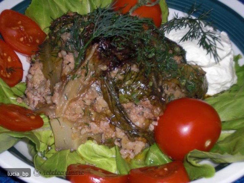 Salata Verde, Umpluta