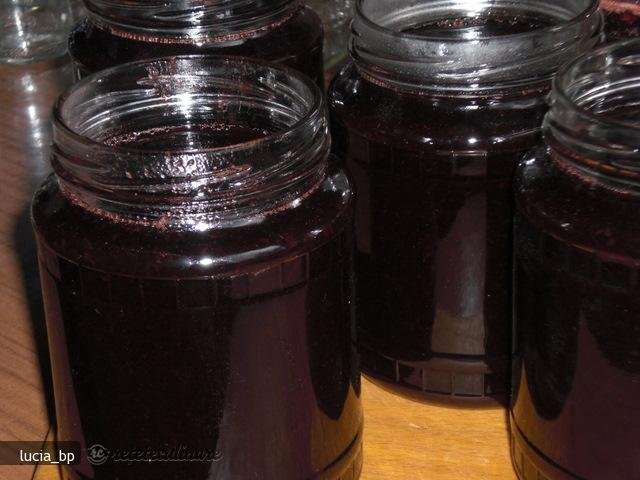 Peltea de Coacaze Negre