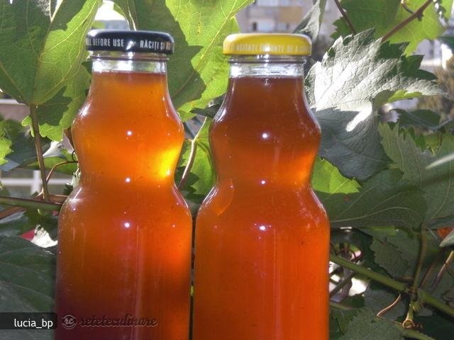 Must de Struguri Pentru Iarna