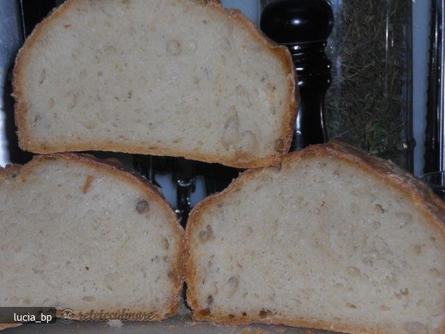 Paine Mestesugareasca