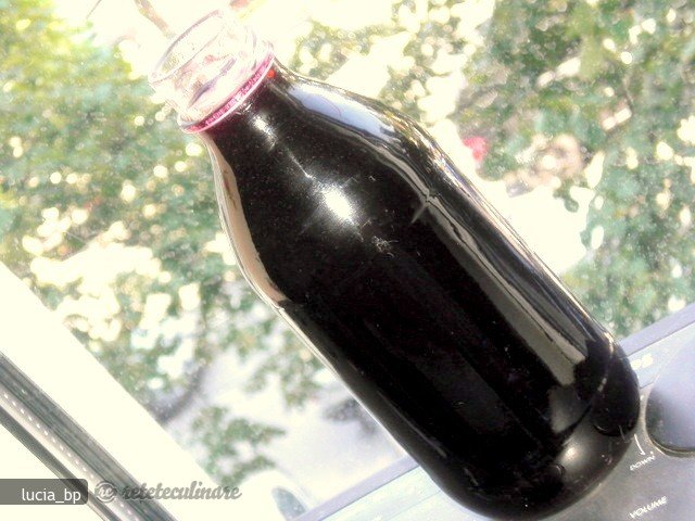 Sirop de Coacaze Negre, Pregatit la Rece
