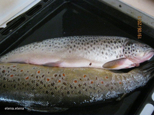 Pastrav cu Lamaie la Cuptor