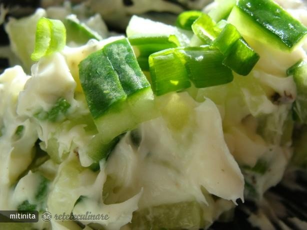 Pasta de Branza cu Castraveti si Ceapa Verde