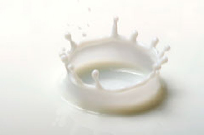 Laptele de origine animala â bun sau rau pentru oameni?