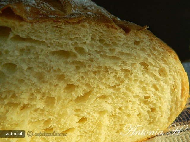 Batch Bread