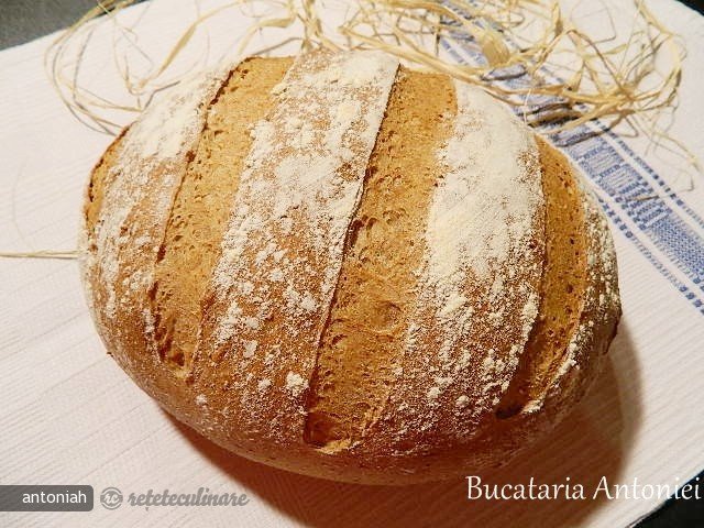Paine cu Faina Integrala de Grau si Faina de Secara