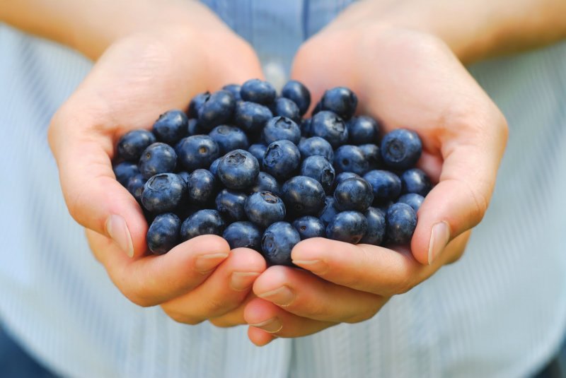 Beneficiile consumului de afine - fructul medicament
