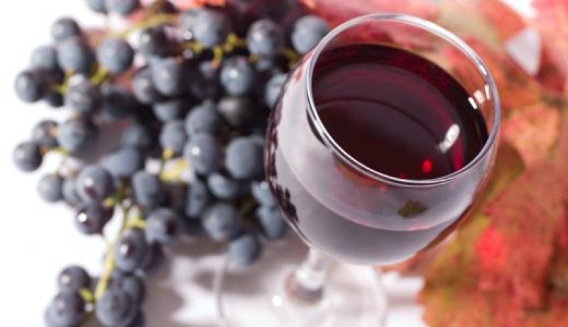 Cum se face budinca de must, dupa o reteta culeasa de Radu Anton Roman