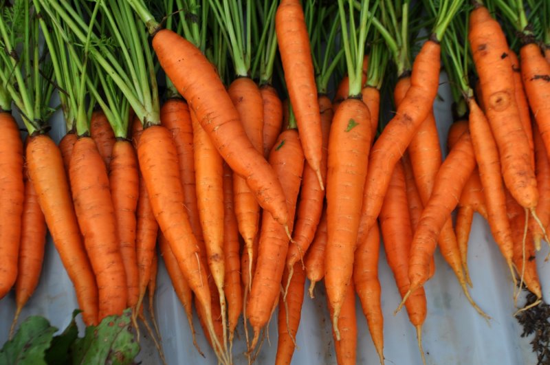 Dieta cu morcovi - te scapa de 3-4 kg in cateva zile