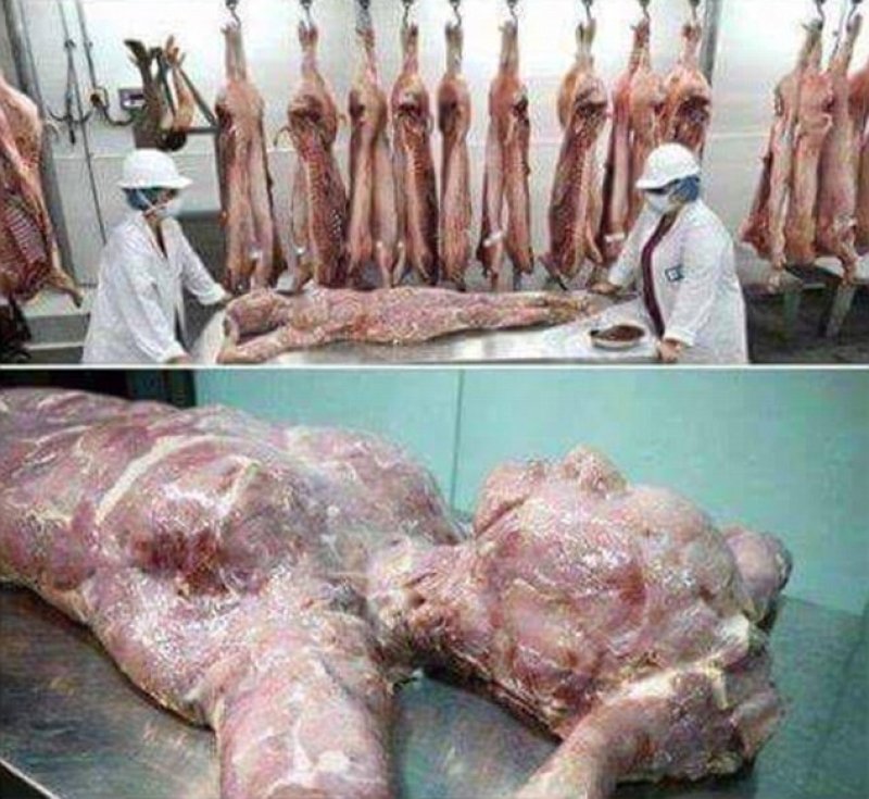 China, acuzata ca foloseste resturi umane in conservele de carne pe care le exporta