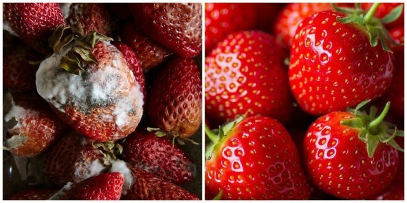 Cele mai bune 10 trucuri pentru a pastra alimentele proaspete mai mult timp