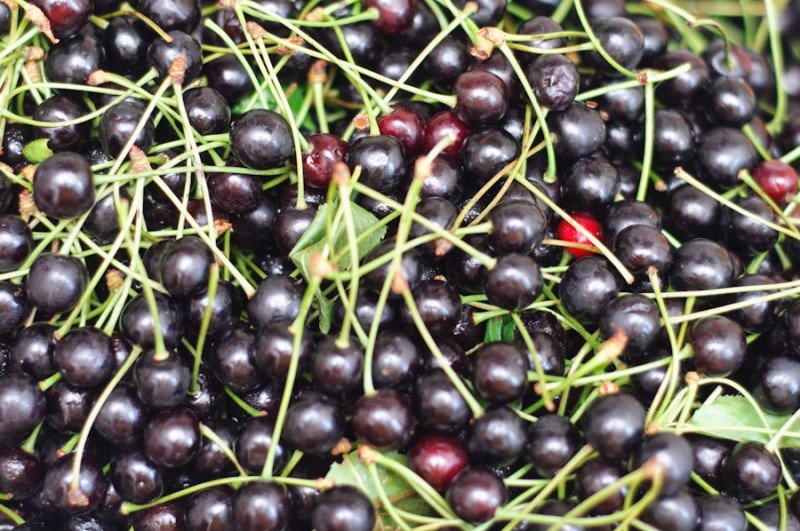 Care este diferenta dintre cirese si ciresele amare, numite si nurofenul naturii