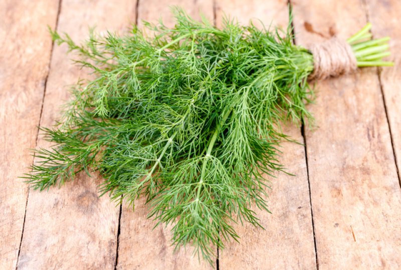 Secretele folosirii mararului in bucatarie - un ingrediente de baza pentru muraturi