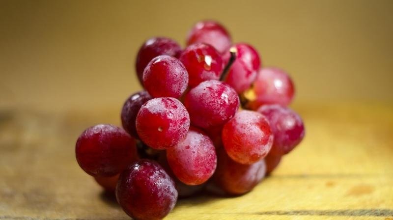 Care este cel mai scump soi de struguri din lume - un ciorchine costa cat o masina