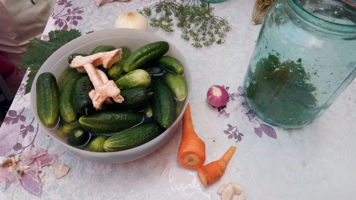 Castraveţi bulgăreşti reţetă