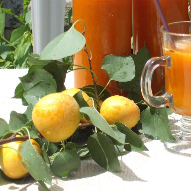 Nectar de caise