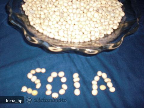 Drob din Boabe de Soia