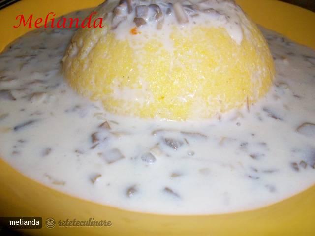 Ciulama de Ciuperci II