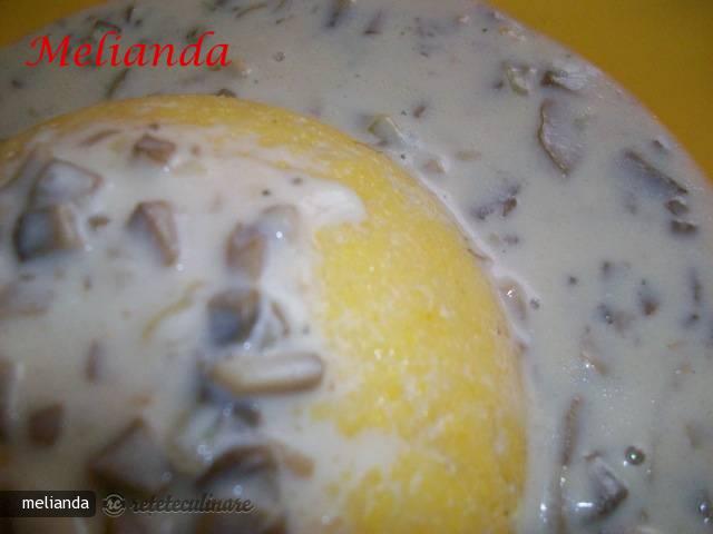 Ciulama de Ciuperci II