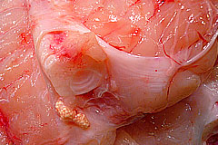 Carnea din alimentatia oamenilor