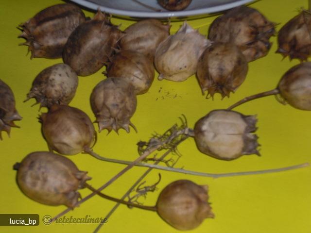 Sos cu Garam Masala si Nigella