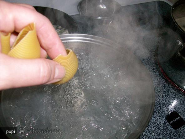 Paste Scoici Mari ( Stuff Jumbo Shells)