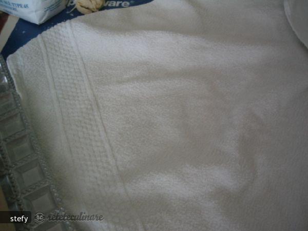 Raviolii cu Crema de Nuci