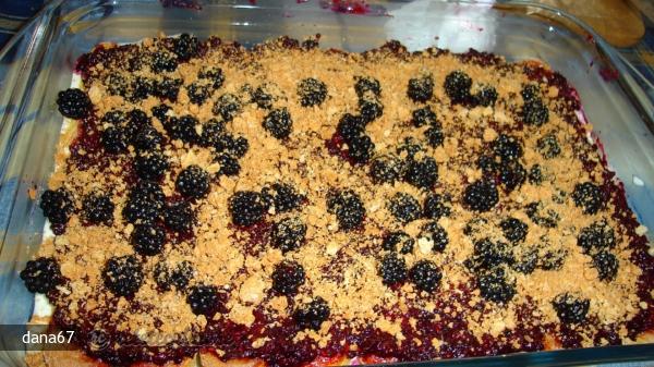Tiramisu cu Mure