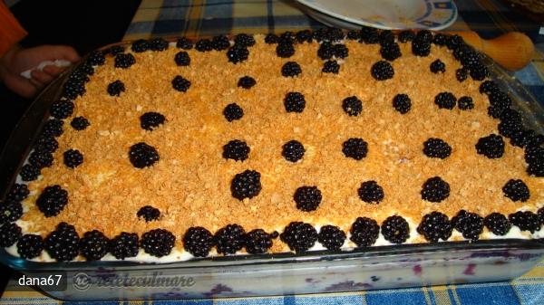 Tiramisu cu Mure