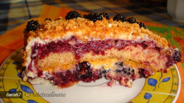 Tiramisu cu Mure