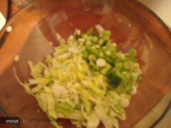 Salata de Vara