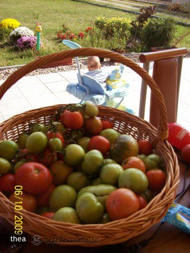 Salata de Vara