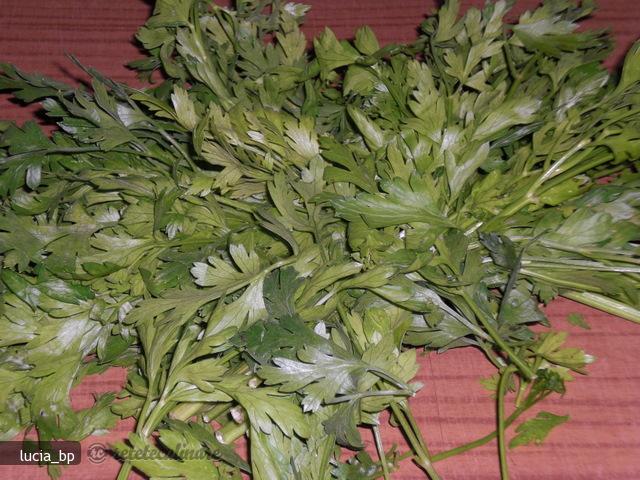 Patrunjel Verde, Frunze, Conservate Pentru Iarna