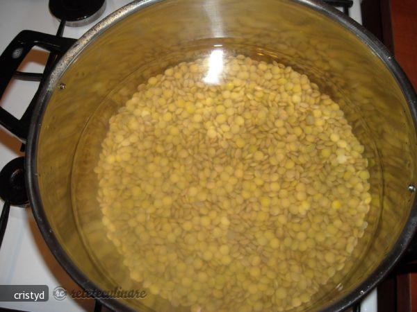 Supa (mancarica) de Linte