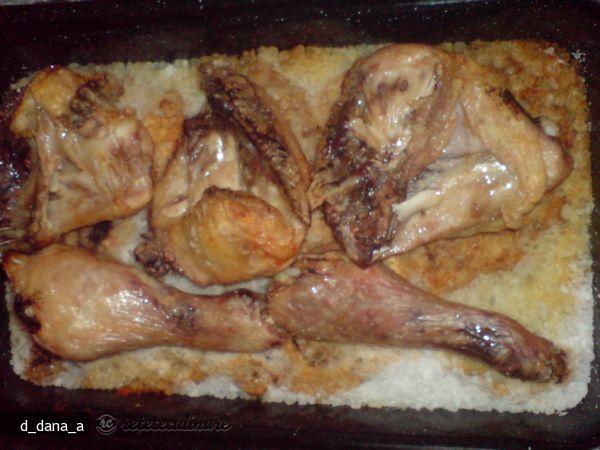 Pulpe de Pui pe Sare