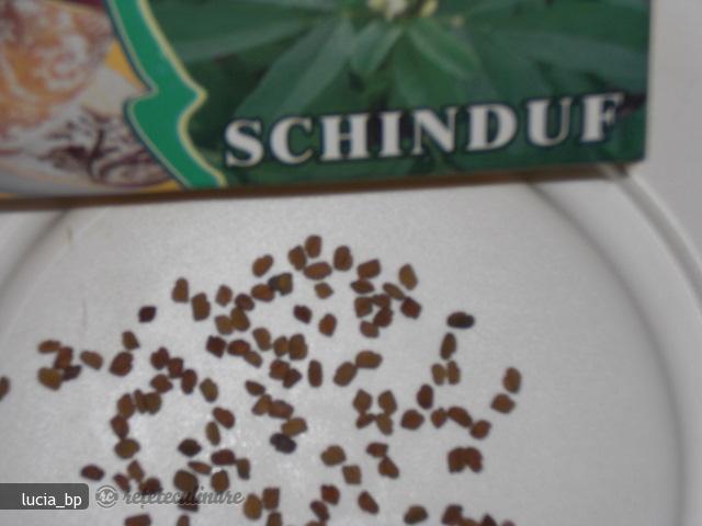 Paine cu Schinduf, Egipteana
