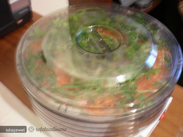 Vegeta Facuta in Casa
