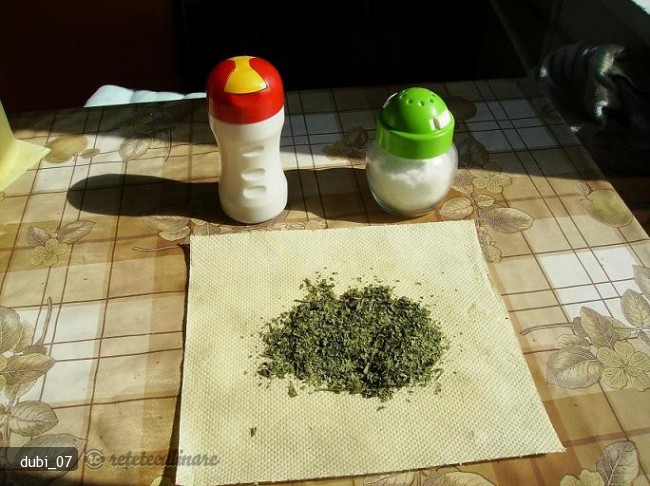Vegeta Facuta in Casa