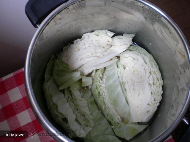 PreaMancare Ceheasca II