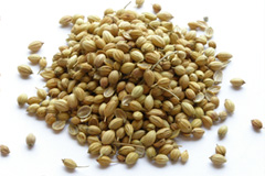 Aromele Indiei
