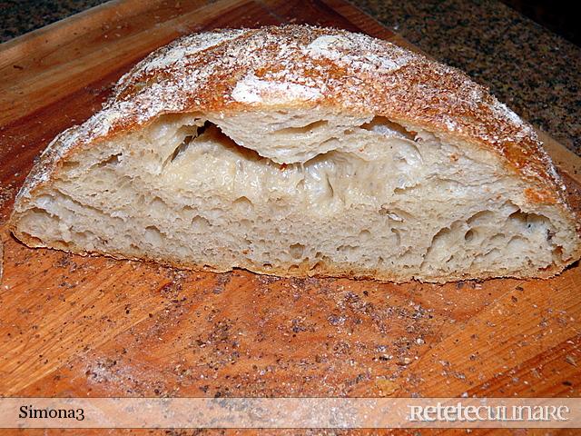 Paine Rustica I