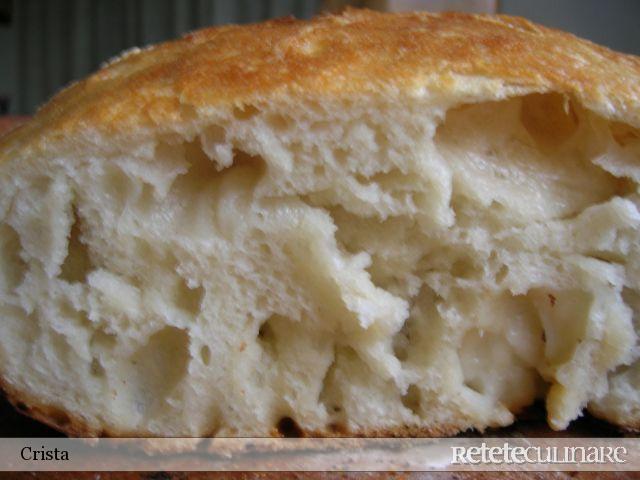 Paine Rustica I