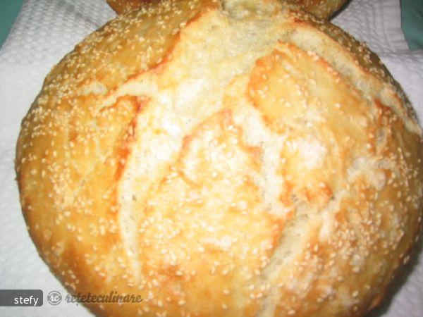 Paine Rustica I