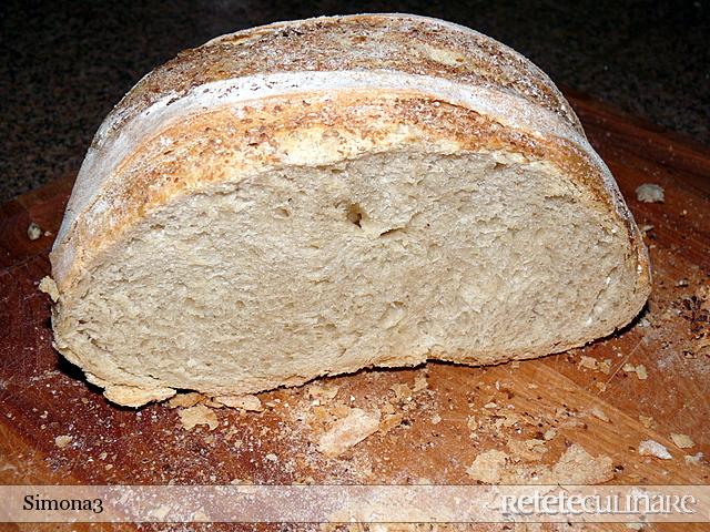 Paine Rustica I