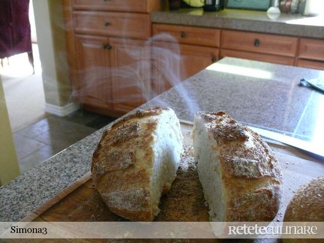 Paine Rustica I