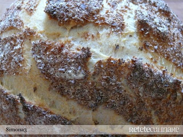 Paine Rustica I