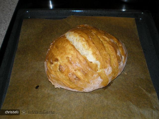 Paine Rustica I