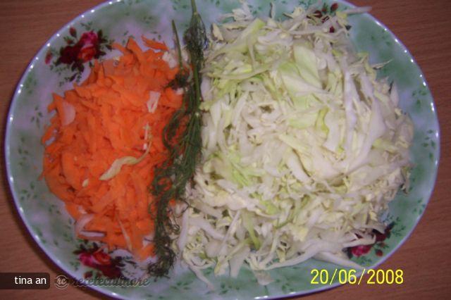 Salata de Varza cu Piept de Pui