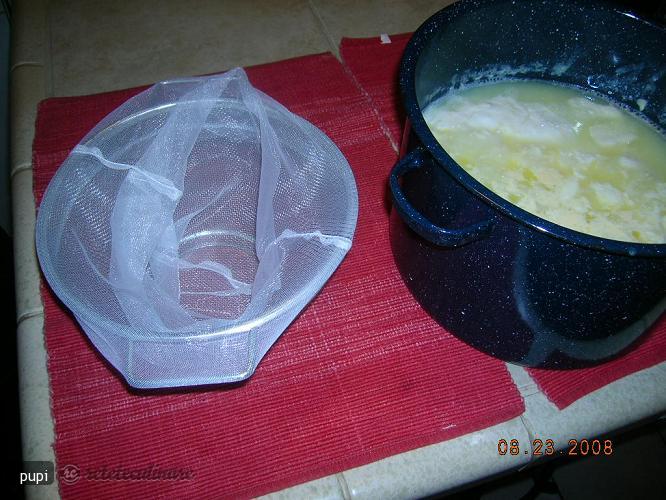 Branza si Smantana de Casa
